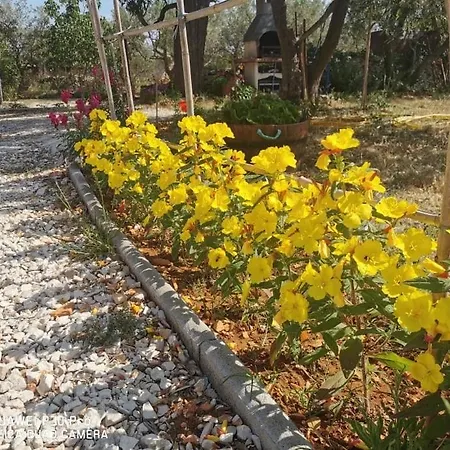 Brioni Sea,garden,poll View 2 2 80m2 Tiki Bar *